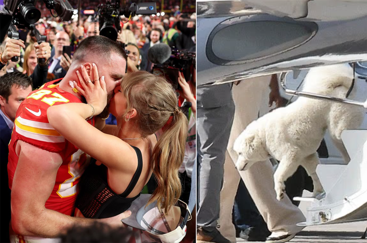 İşte Taylor Swift ve Travis Kelce'nin sır gibi sakladığı köpeği!