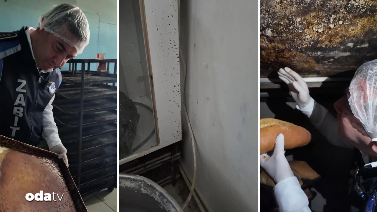 Fırından çıkmayan kalmadı: Kir, izmarit, böcek