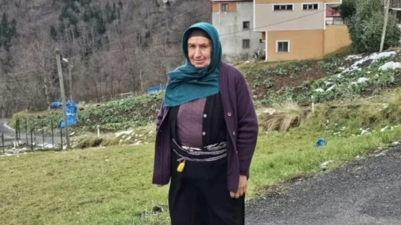 'Ot biçme' tartışması kanlı bitti: Yengesini öldürdü, 2 kişiyi yaraladı