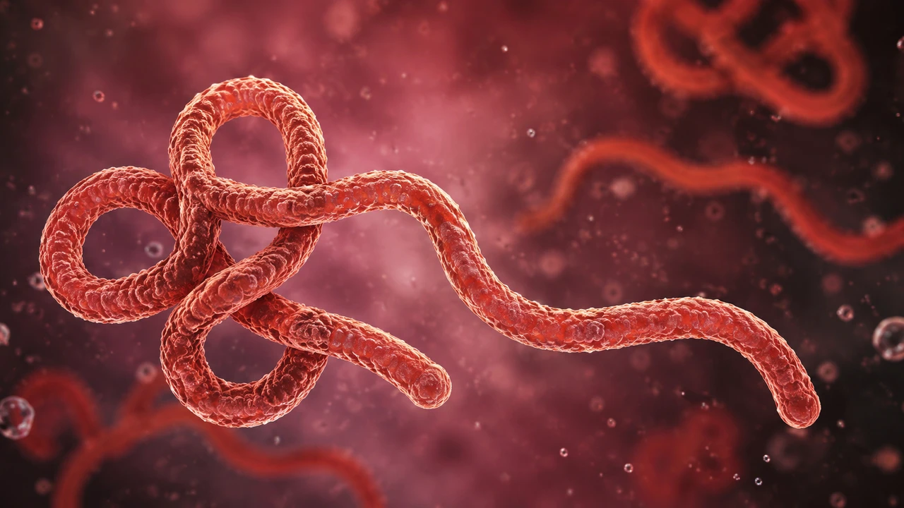Kongo Demokratik Cumhuriyeti’nde Ebola salgınında vaka sayısı 1700’ü aştı