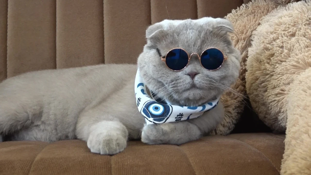 Veterinerlerin "yaşamaz" dediği Başkan denizde yüzdü, Uludağ'da kayak keyfi yaptı