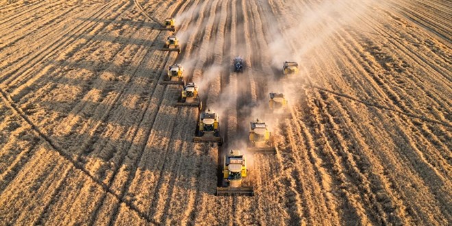Tohumda ihracat rekoru: Yüzde 141 karşılama oranı