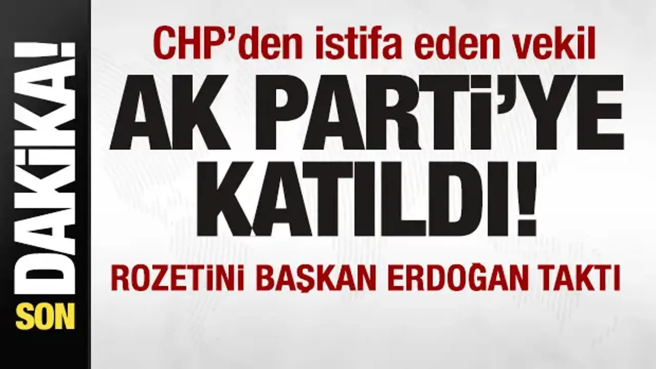 CHP'den istifa eden Nimet Özdemir AK Parti'ye katıldı! Rozetini Erdoğan takdı