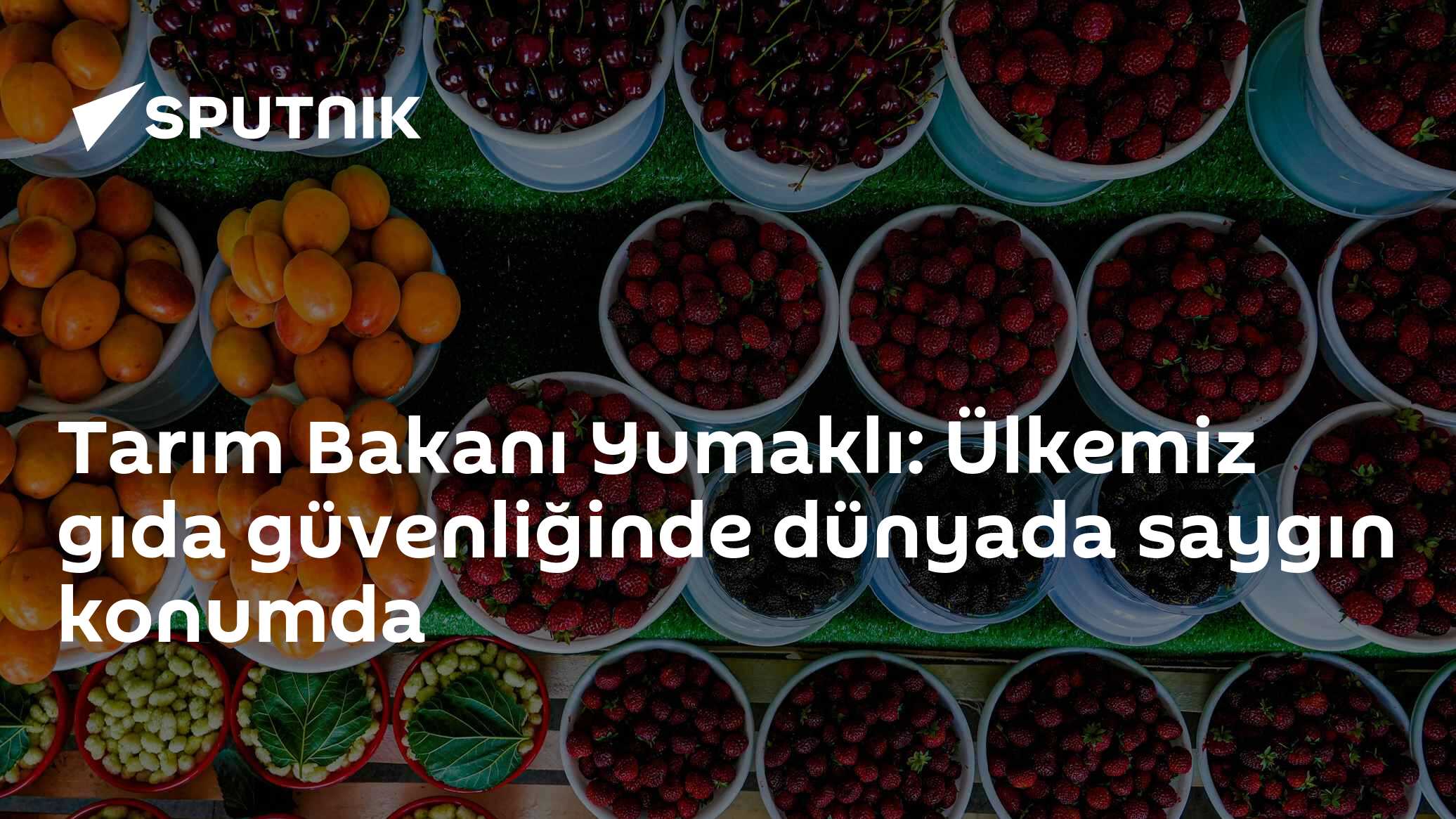 Tarım Bakanı Yumaklı: Ülkemiz gıda güvenliğinde dünyada saygın konumda