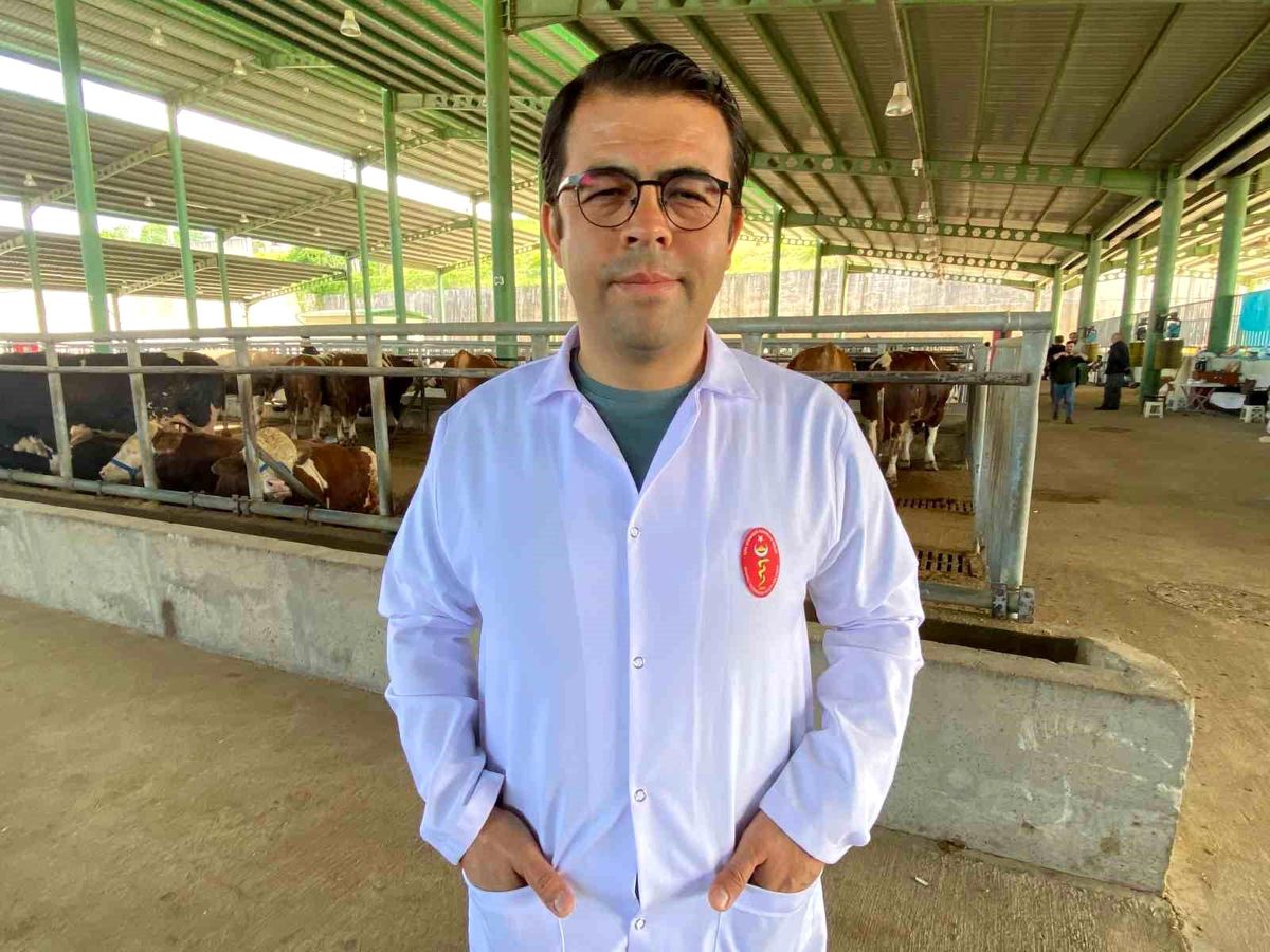 Kene tehdidine dikkat: 200'den fazla hastalık etkeni taşıyabiliyor