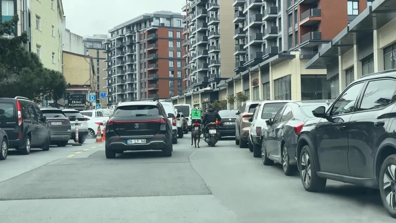 Vicdansızlığın böylesi! Motosiklete bağladığı köpeği metrelerce sürükledi