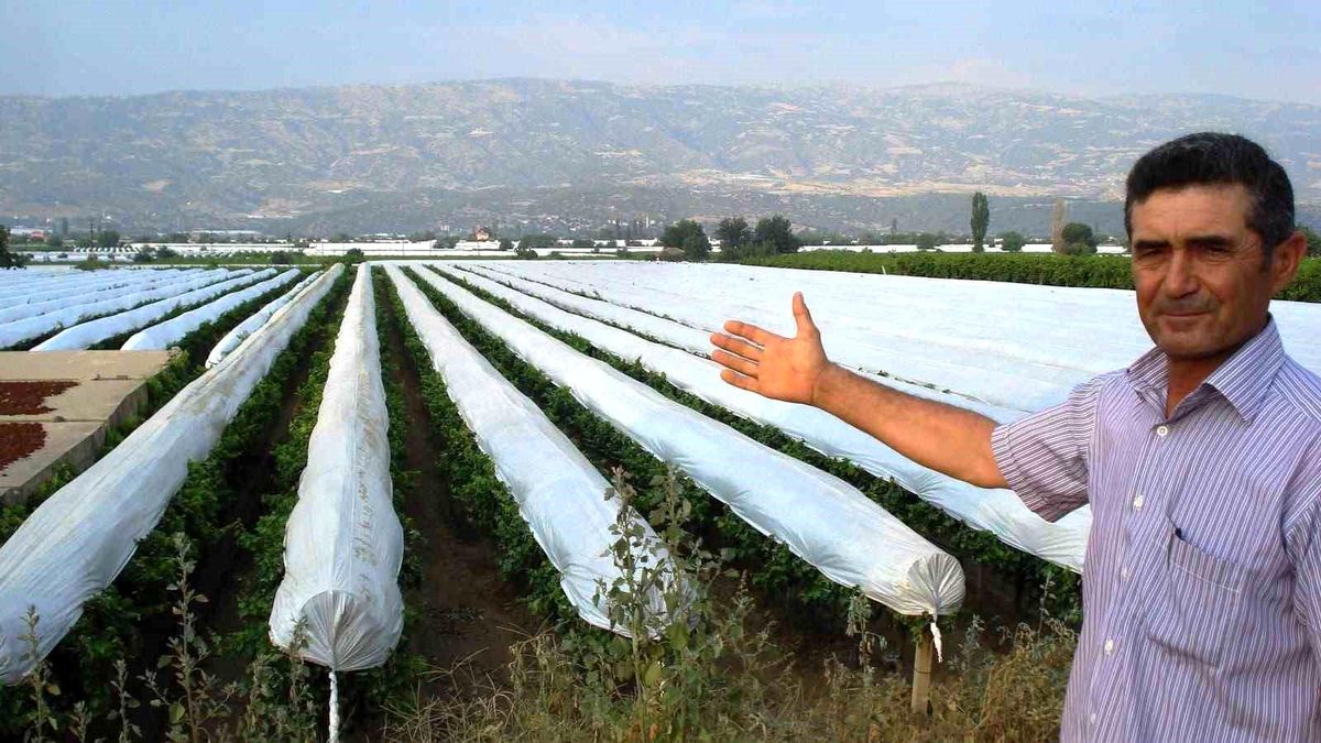 Sarıgöl Ovası beyaza bürünmeye hazırlanıyor