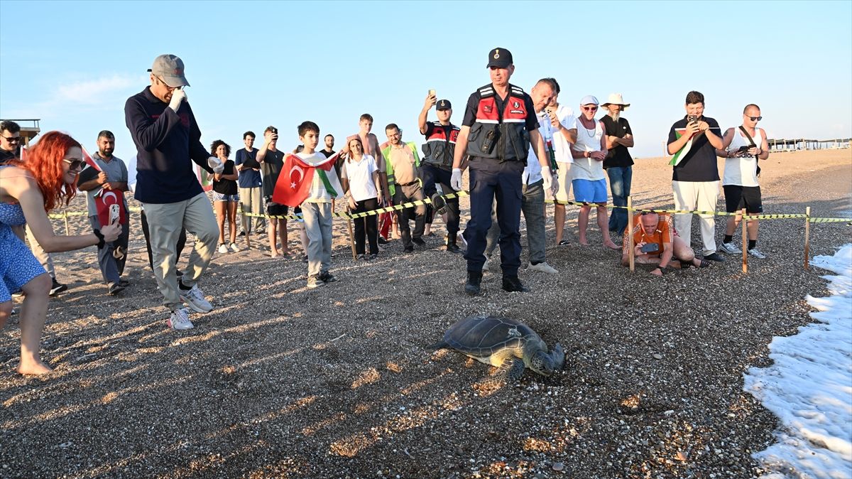 Manavgat'ta tedavisi tamamlanan yeşil deniz kaplumbağası denize bırakıldı
