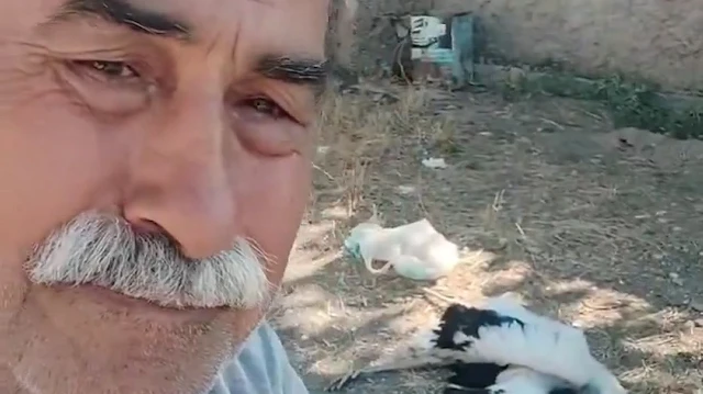 Bahçesindeki leyleklerin öldüğünü gören Çankırılı gözyaşlarına boğuldu