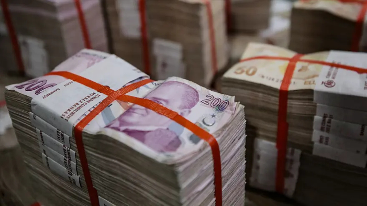 Parası ve hissesi olanları ilgilendiriyor: İadelerde e-Devlet dönemi