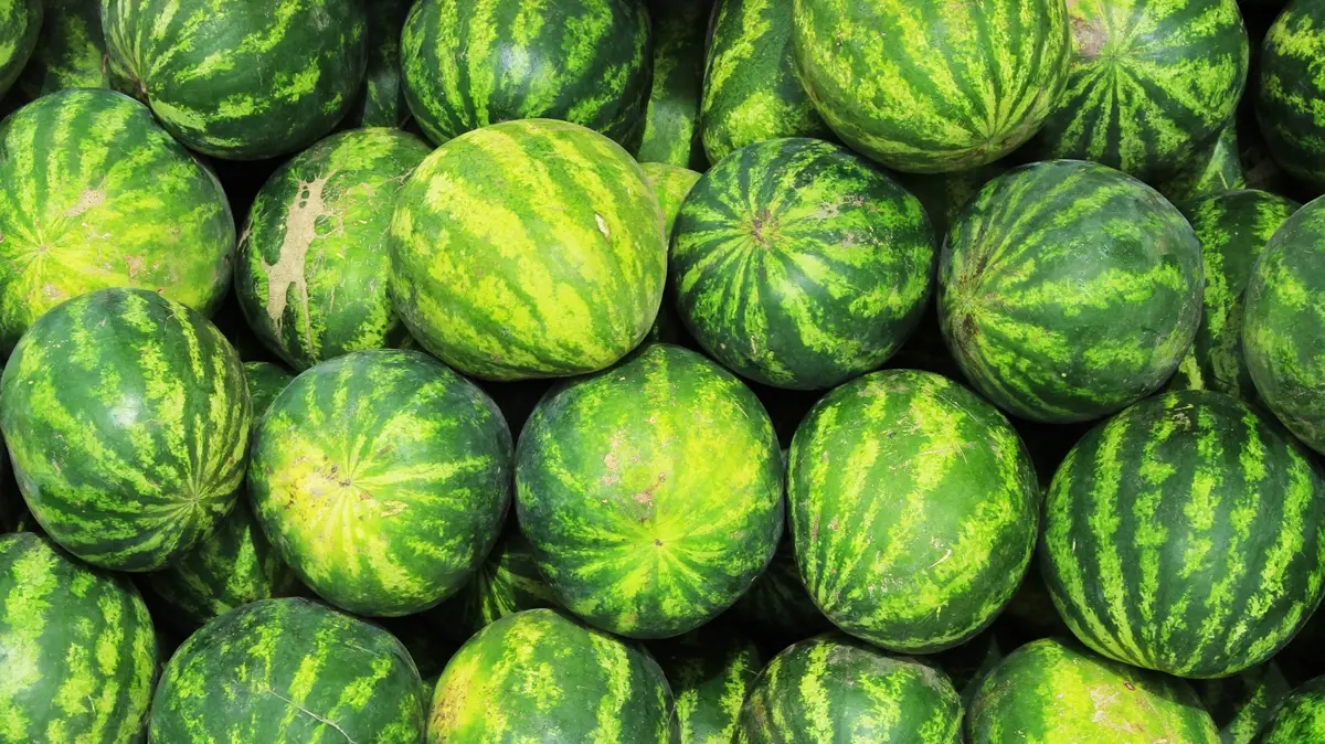 Susuzluğa iyi gelen yaz meyvesi! Vücudu serinletiyor, sıvı kaybını azaltıyor