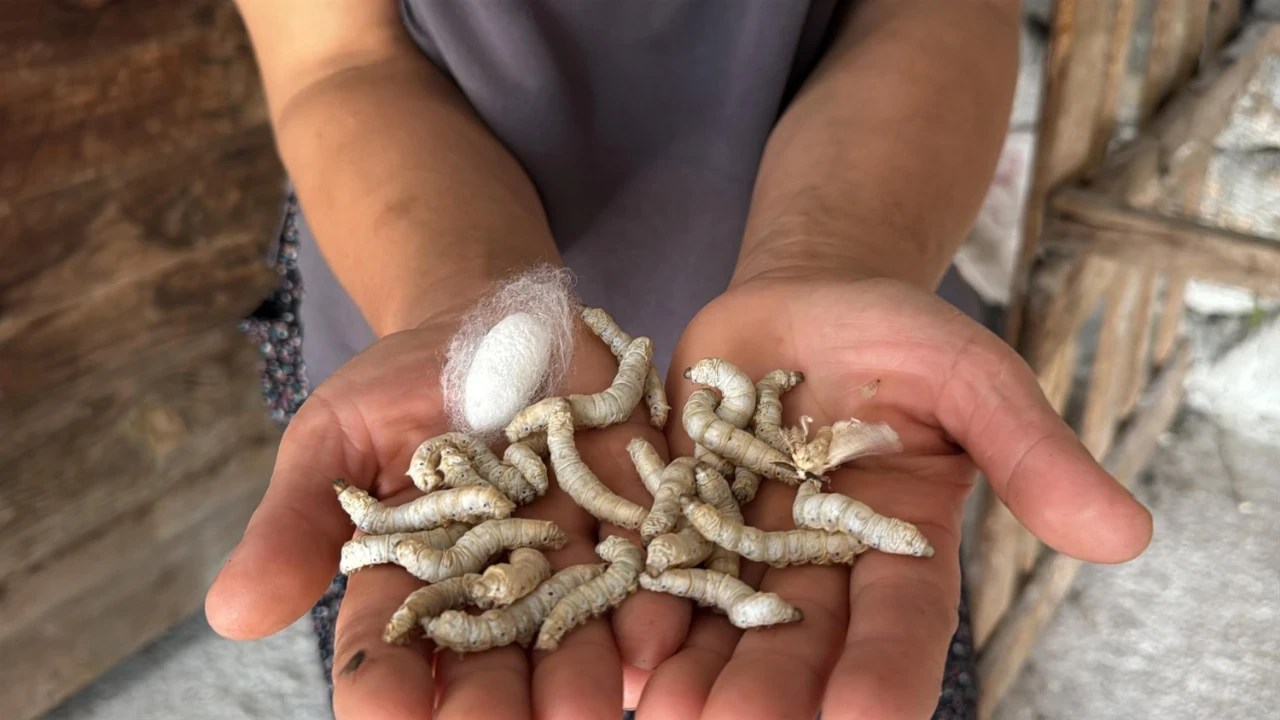 Bir paketle 80 bin lira kazandırıyor: Evlerinin alt katını adeta fabrika