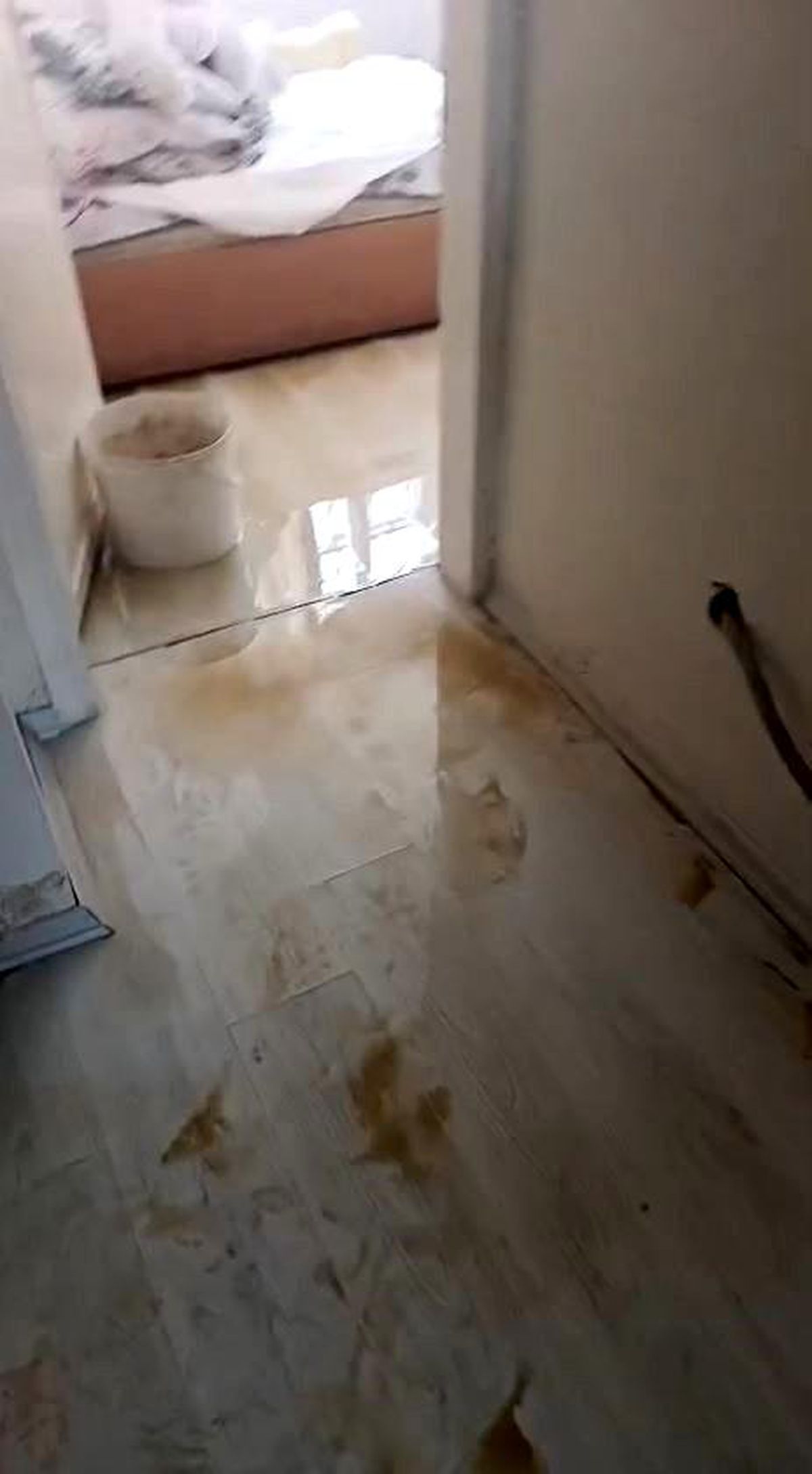Avcılar'da İSKİ borusu patladı, evi su bastı