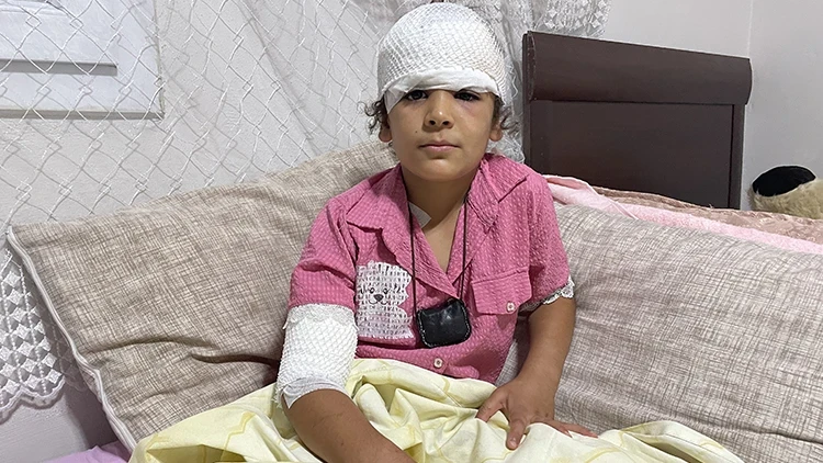 Şanlıurfa'da başıboş köpek saldırısı! 8 yaşındaki Evin kanlar içinde kaldı