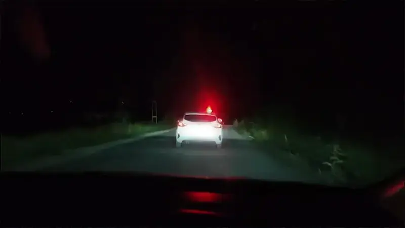 Arnavutköy’de 398 kilo skunk ele geçirildi