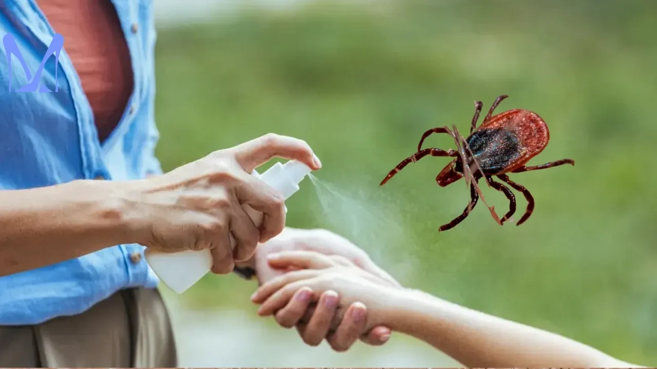 Doğal kene kovucu sprey tarifi! Doktorun önerdiği bu formülle keneler yanınıza yaklaşamayacak