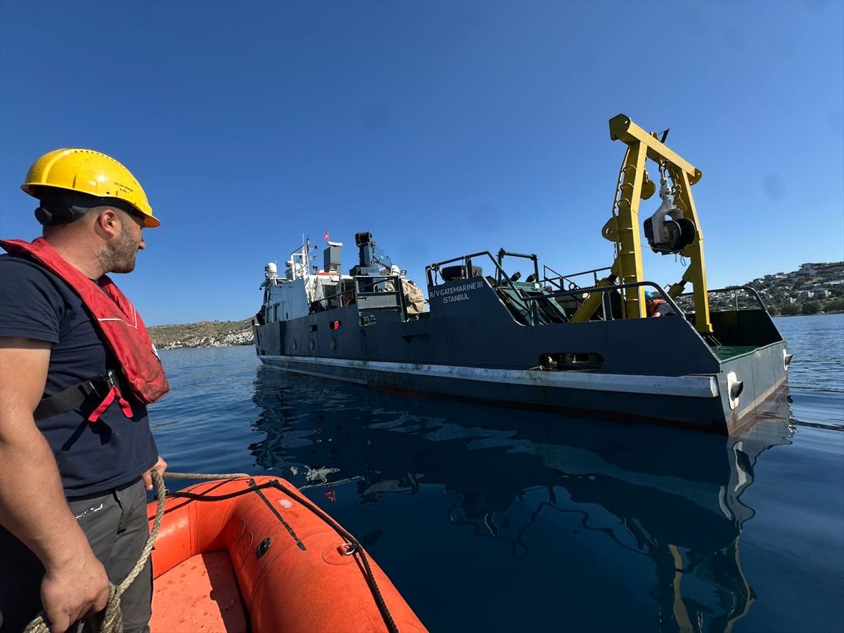 Bodrum açıklarında 40 metre derinliğe uzanan kesintisiz deniz çayırı kuşağı belirlendi