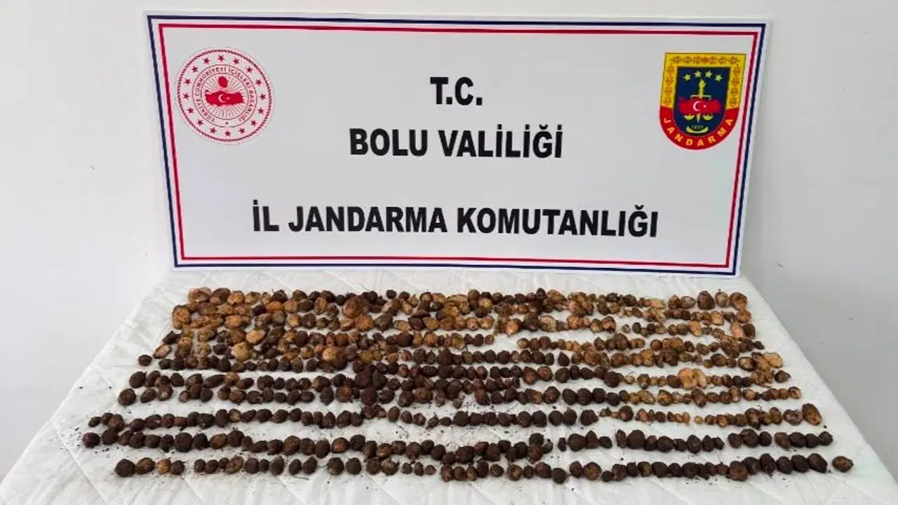 Yabani salep toplayan 3 kişiye 2 milyonluk ceza!