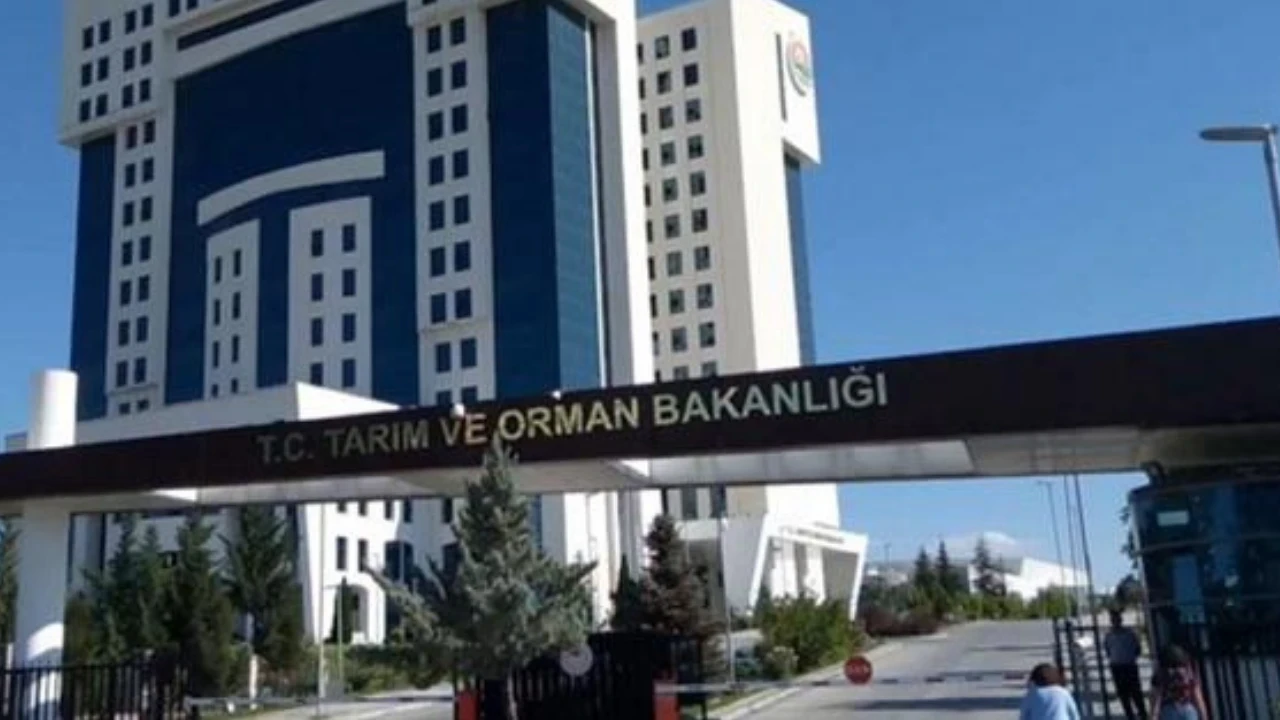 Bakanlıktan "Çekirge istilası" açıklaması: İstila söz konusu değil