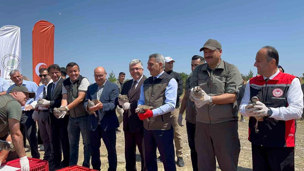 Çamlık Milli Parkı'nda bin keklik doğaya kanat çırptı