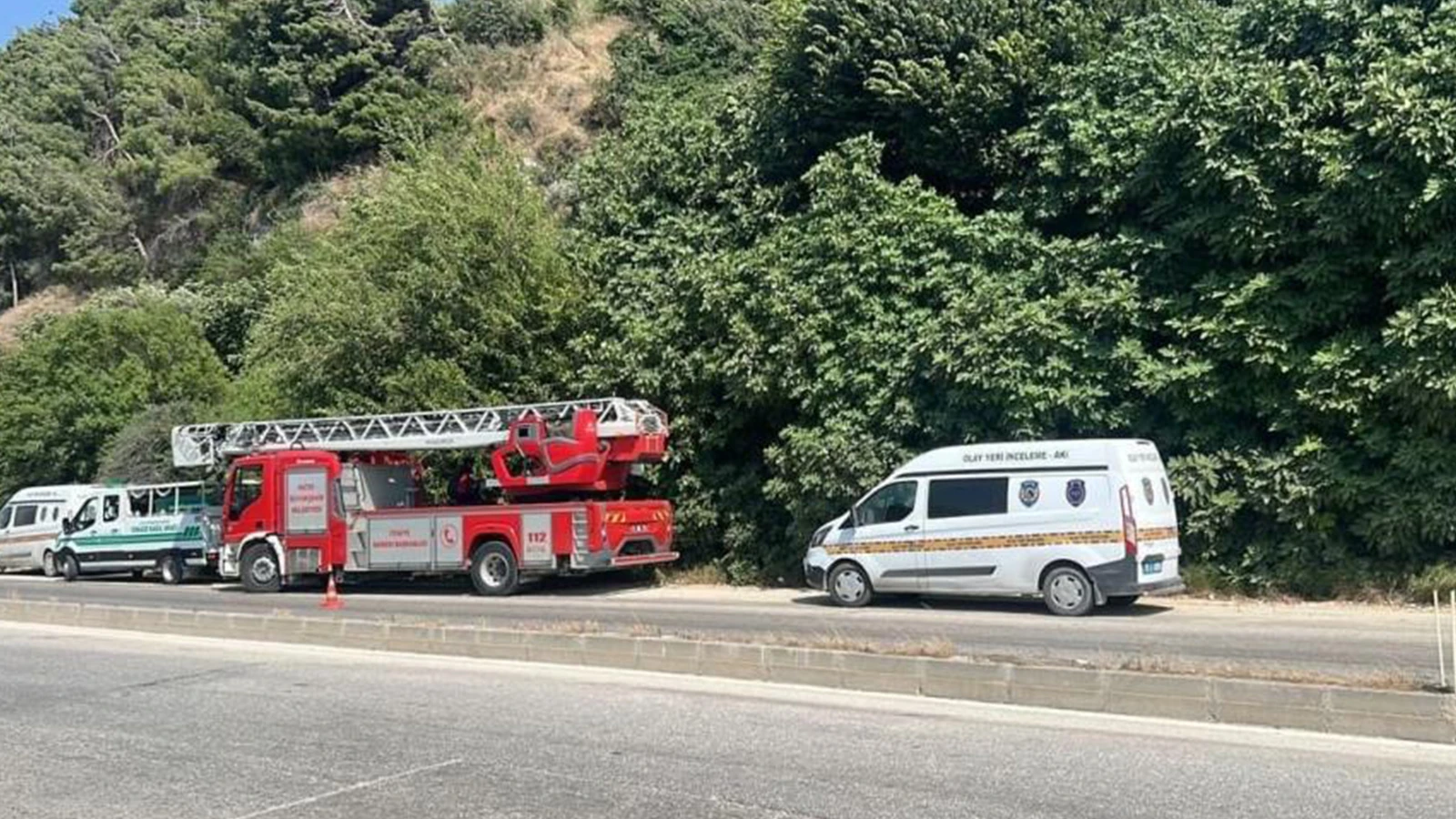 Koku sebebiyle yapılan kontrolde bulundu; incir ağacında korkunç manzara