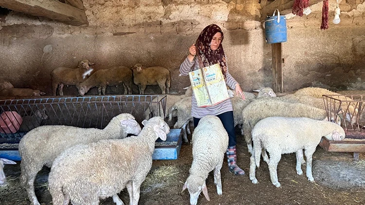 Eskişehir'de "büyü" iddiasıyla öldürülen çiftçinin eşi, iki oğlunu okutmak için tek başına çobanlık yapıyor