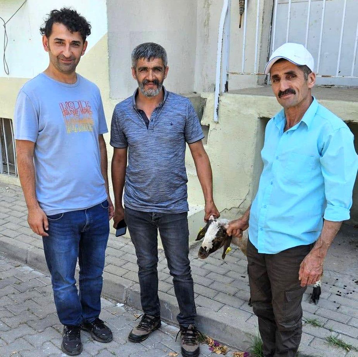 Kapılara toslayan kuzunun sahibi küpesinden bulundu