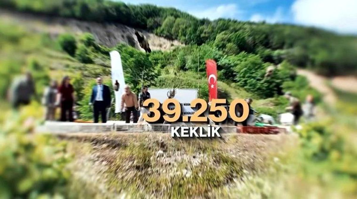 Kene ve kahverengi kokarcaya karşı doğal mücadele: 51 bin keklik ve sülün salınacak