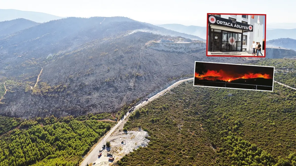 Zümrüt ormanlar kül oldu
