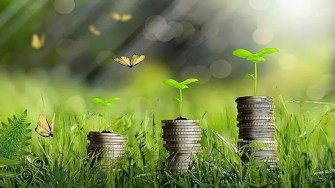 Yeşil dönüşümün Türkiye’ye yıllık maliyeti 25 milyar dolar