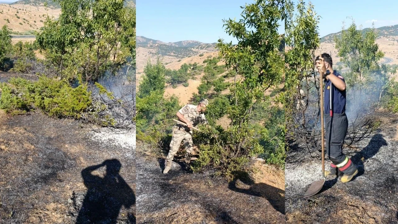 Bingöl Genç'te yol kenarındaki yangın ekiplerce söndürüldü