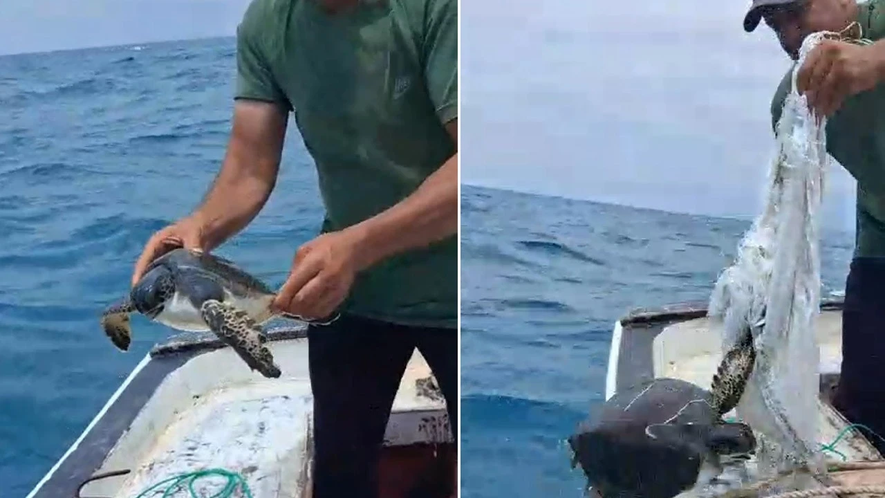 Akdeniz'de bir çuvalın içerisinde can savaşı veriyordu! Teknedeki balıkçılar manzarayı görünce yürekleri parçalandı