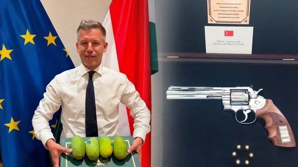 Peter Magyar'dan Erdoğan'ın tabanca hediyesine gönderme: "Herkes tabanca vermez"