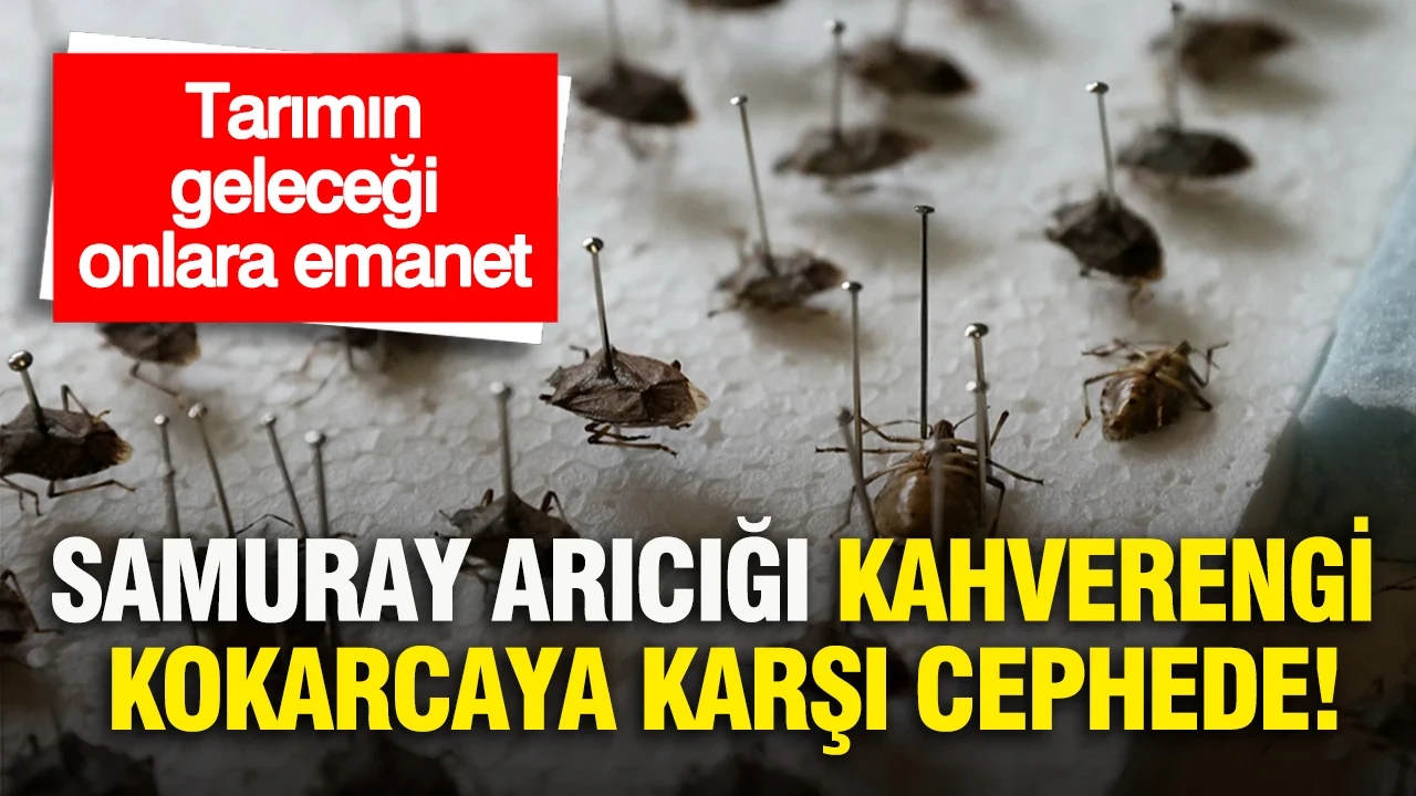 İran ABD'ye ait hava aracını düşürdü: Hürmüz Boğazı'nda sıcak saatler