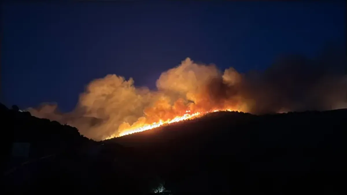 Muğla'da korkutan yangın! Ünlülerin evleri hasar gördü