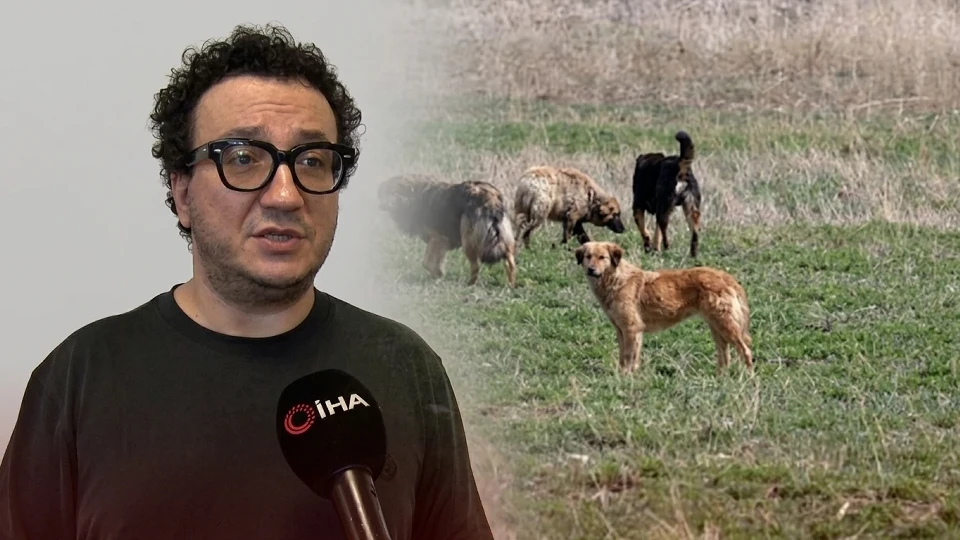 Prof. Dr. Oytun Erbaş'tan Köpek Çıkışı: Isıran Köpeğin Sahibine Hapis Cezası Gelsin | GÜNDEM HABERLERİ