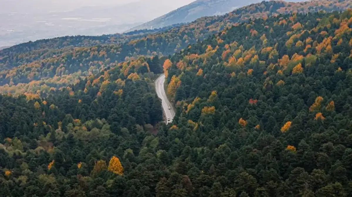 Bolu'da ormanlara giriş yasaklandı! İşte piknik yapılabilecek alanlar ve saatleri