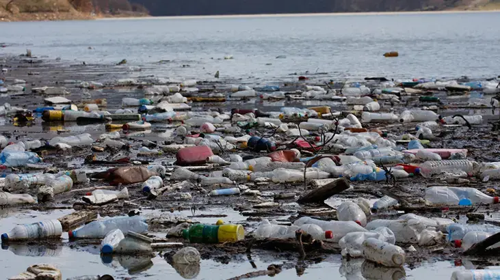 Kirlenen nehri temizlemek istediler, başlarına gelmeyen kalmadı! 'Hapse girebiliriz'