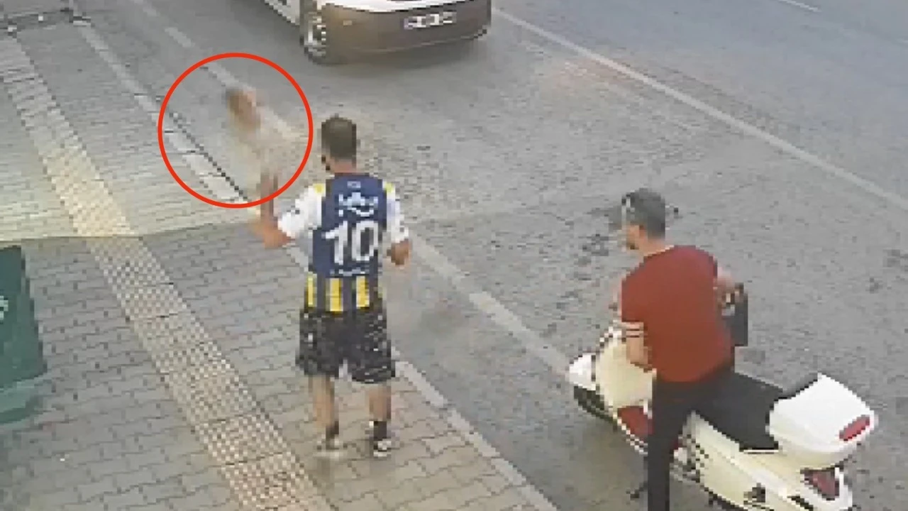 Yoldan geçerken kediyi tekmeleyen cani kamerada
