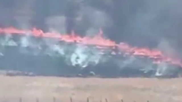 Gaziantep’te orman yangını çıktı
