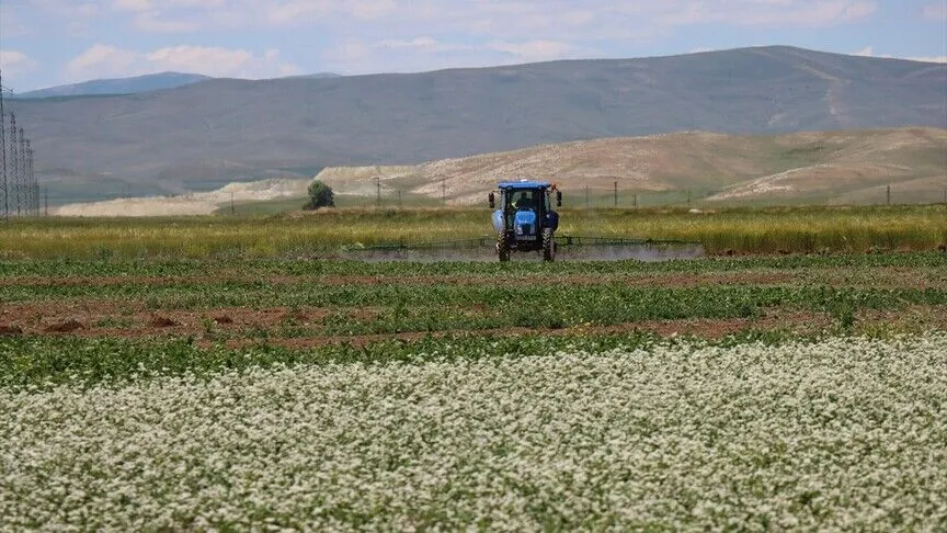 Erzincan'da alternatif ürünlerle tarımsal üretim çeşitleniyor