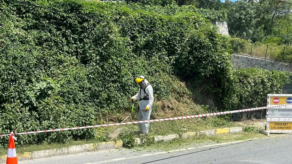 Beykoz'da otlar metrelerce uzadı: O yollar İBB’nin sorumluluğundaydı!