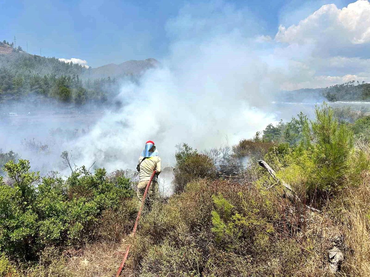 Yol kenarında çıkan yangını ormana sıçradı