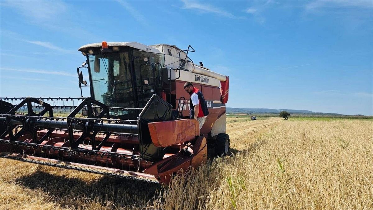 Ayvacık'ta biçerdöver denetimi yapıldı