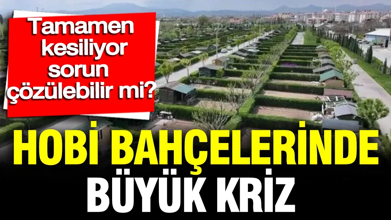 Hobi bahçelerinde büyük kriz: Tamamen kesiliyor