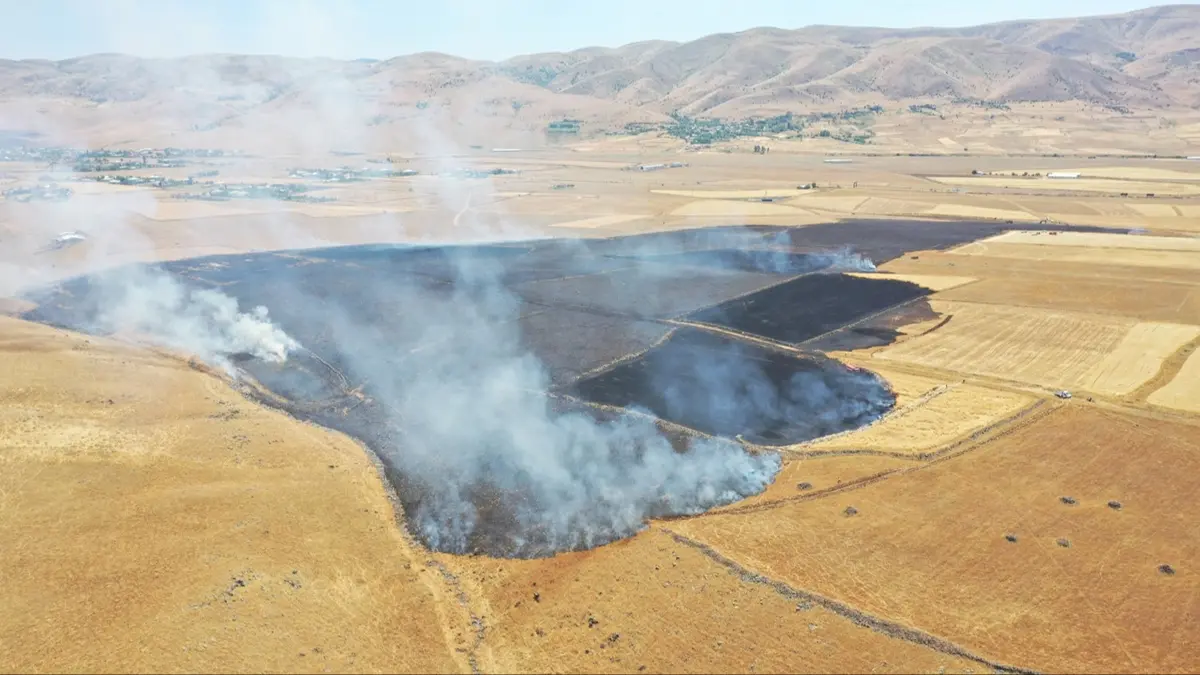 Elazığ'da 170 dekarlık otluk arazi ve buğday ekili alan yandı