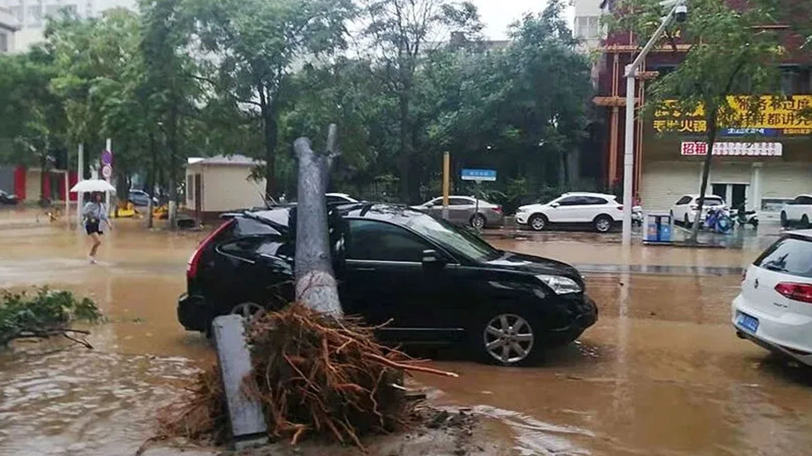 Çin'de sel felaketi: Onlarca ölü var