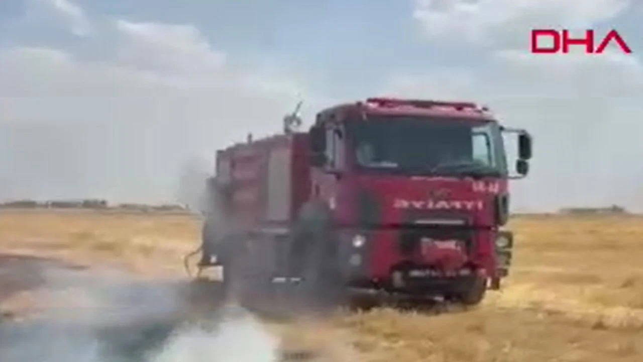 Mardin'de 8 farklı noktada yangın