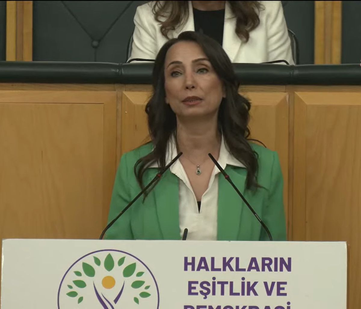 DEM Parti Eş Genel Başkanı Hatimoğulları: 'Özel yasanın hayata geçirilmesi gerekiyor'