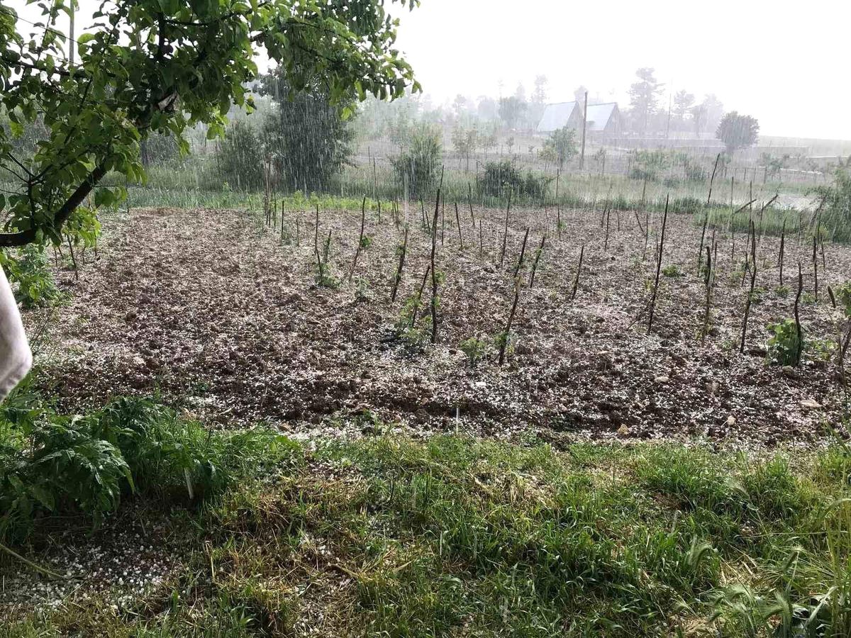Bursa'da dolu… Keles'te tarım arazilerini dolu vurdu